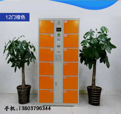 濱州市陽信縣濟南超市緊湊型存包柜 巧妙設(shè)計，高效便民